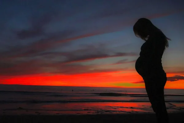 Le Funzioni Genitoriali